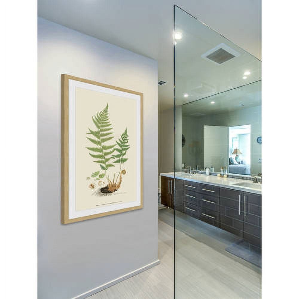 Marmont Hill "Curtis Ferns II" Framed Painting Print