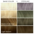 thumbnail image 2 of Arctic Fox Vegan and Cruelty-Free Semi-Permanent Hair Color Dye Sterling 8oz, 2 of 7