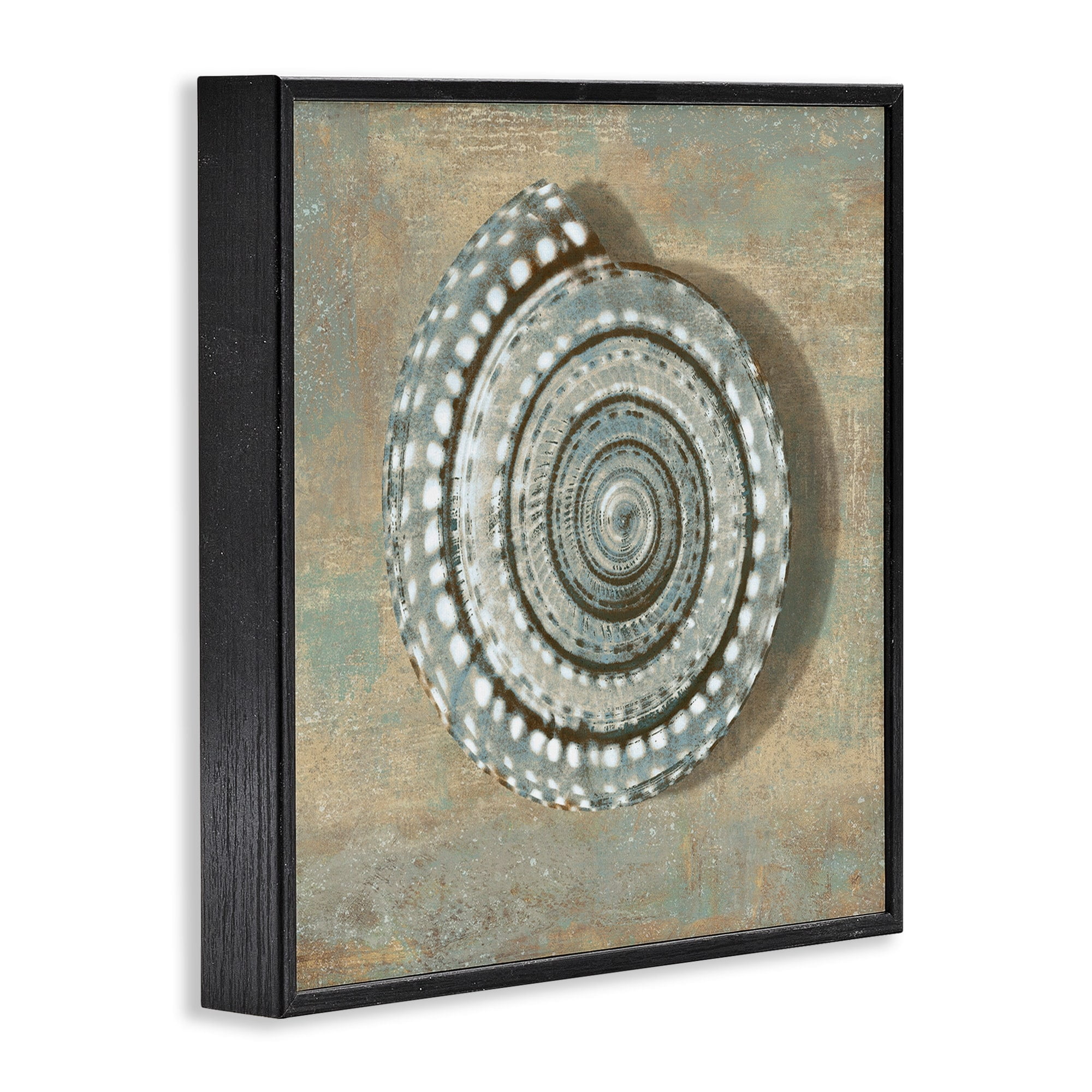 Stupell Industries Spiral Shell Beach Objects Design Framed Wall Art by Christy McKee