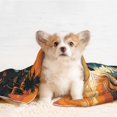 thumbnail image 4 of Yiaed Serene Ocean Sunset Print Dog Blankets-Cat Blanket Washable for Couch Protection,Puppy Blanket, Soft Plush Reversible Throw Furniture Protector-, 4 of 8