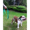 thumbnail image 4 of LAICAIW 4FT Reflective Dog Leash with Soft Padded Handle for Training,Walking Lead for Large & Medium Dog,1 Inch Wide,Turouoise, 4 of 6