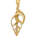 thumbnail image 4 of 14K Yellow Gold Cut-Out Conch Shell Skeleton Charm (43 X 17.85) Made In United States k7756, 4 of 5