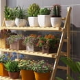 thumbnail image 4 of Planter Shelf Flower Stand Entryway Porch 2 Tiers Bamboo Patio Balcony Livingroom Wooden Flowerpot Holder, 4 of 13