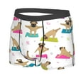 thumbnail image 2 of Disketp Yoga Dogs Poses Men'S Boxer Briefs,Soft And Breathable Cotton Underwear With Comfortflex Waistband, 2 of 9