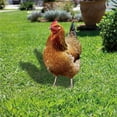 thumbnail image 3 of Realistic Acrylic Chicken Statues Outdoor Garden Stakes Durable Yard Art Decor With Detailed Feather Eye Beak Design Perfect For Backyard Patio Christmas Easter Decoration Gift, 3 of 6