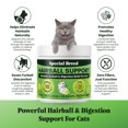 thumbnail image 2 of Hairball Support for Cats - 10 Super Ingredients for Hairball Relief, Digestive Support & Healthy Skin - No Fillers - Psyllium, Pumpkin, Omega-3s & More - 720 Scoops, 2 of 7