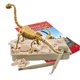 thumbnail image 2 of Science4You Kit de excavación de fósiles de Brachiosaurus para niños: excava y ensambla 11 piezas de kit de excavación de fósiles de dinosaurios dinosaurios para juegos infantiles, juguetes de dinosa, 2 of 5