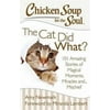 Chicken Soup for the Soul: the Cat Did What? : 101 Amazing Stories of Magical Moments, Miracles and... Mischief, Used [Paperback]