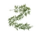 thumbnail image 2 of Simulated Christmas Rattan Feel Soft Glue Green Pines Needles Cypresses Leaf Door Hanging Wall Hanging Home Layout Interior Decoration, 2 of 5