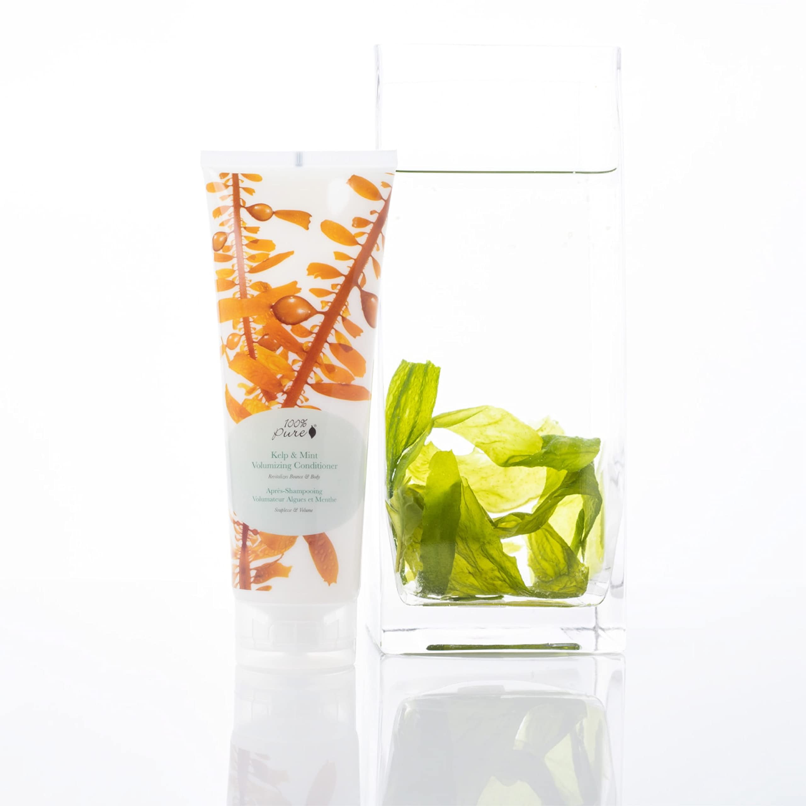 100% PURE Kelp & Mint Volumizing Conditioner Moisturizer & Deep Hydration - Botanical Body Boost for Dry, Damaged Thinning Hair, Promotes Healthy Growth for Women & Men - Sulfate Free - 8 Fl Oz