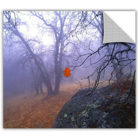 Dean Uhlinger "Nearly Winter" Removable Wall Art