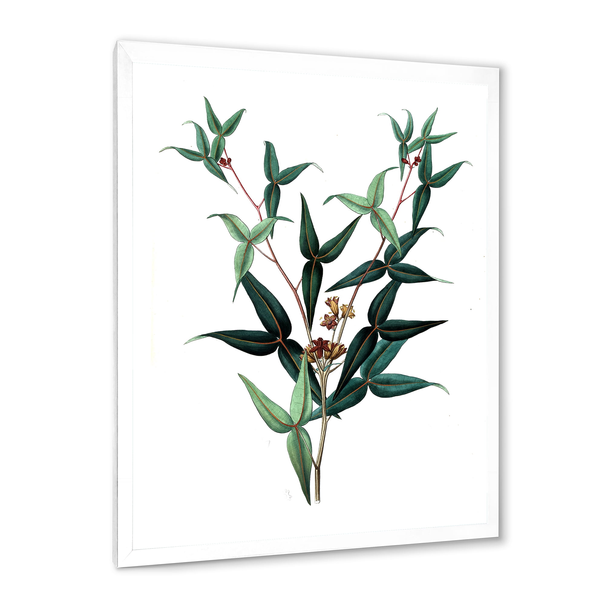 Designart 'Ancient Green Leaves Plants VIII' Traditional Framed Art Print
