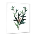 thumbnail image 2 of Designart 'Ancient Green Leaves Plants VIII' Traditional Framed Art Print, 2 of 4
