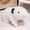 white, variant on Cute Brown & White Guinea Pig Plush Toy, Soft Stuffed Hamster Animal, Adorable Pet Gift for Kids/Adults, 8 Inch