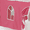 Pink with White Trim, variant on Alaterre Furniture Roxy Junior Kids White Loft Bed, Red with Blue Trim Tent