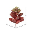 thumbnail image 3 of Vickerman 4" Artificial Assorted Succulent Picks, 6 per Bag, 3 of 4