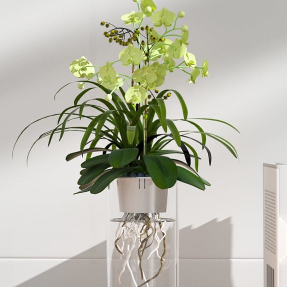 TONGYIJIA Hydroponic Planter Basket, Transparent Vase with Root Holder, Water Propagation Station For Plants, Glass Flower Vase For Home Garden, Self Watering Planter