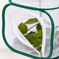 thumbnail image 6 of Foldable Breathable Mesh Insect Breeding Cage, Reusable Transparent Net Habitat Box for Insect Observation, Butterfly Creepy Crawler Breeding, 12"(Green), 6 of 7