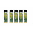 thumbnail image 2 of NU-CALGON 4171-75 Evaporator Cleaner, Aerosol, 18 fl oz (5packs), 2 of 2