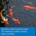 thumbnail image 4 of PondCare API Pond ACCU-Clear Pond Water Clarifier 64-Ounce Bottle, 4 of 5