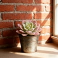 thumbnail image 3 of Arrangement Réaliste de Succulentes en Jardinière Moderne pour Étagère de Bureau à Domicile Centre de Table, 3 of 4