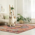 thumbnail image 6 of Wonnitar 6'x9' Area Rugs Machine Washable Area Rugs for Living Room,Non Slip Bedroom Rug,Dining Room Rugs for Under Table,Large Bohemian Vintage Non Skid Indoor Carpet for Home Office, 6 of 8
