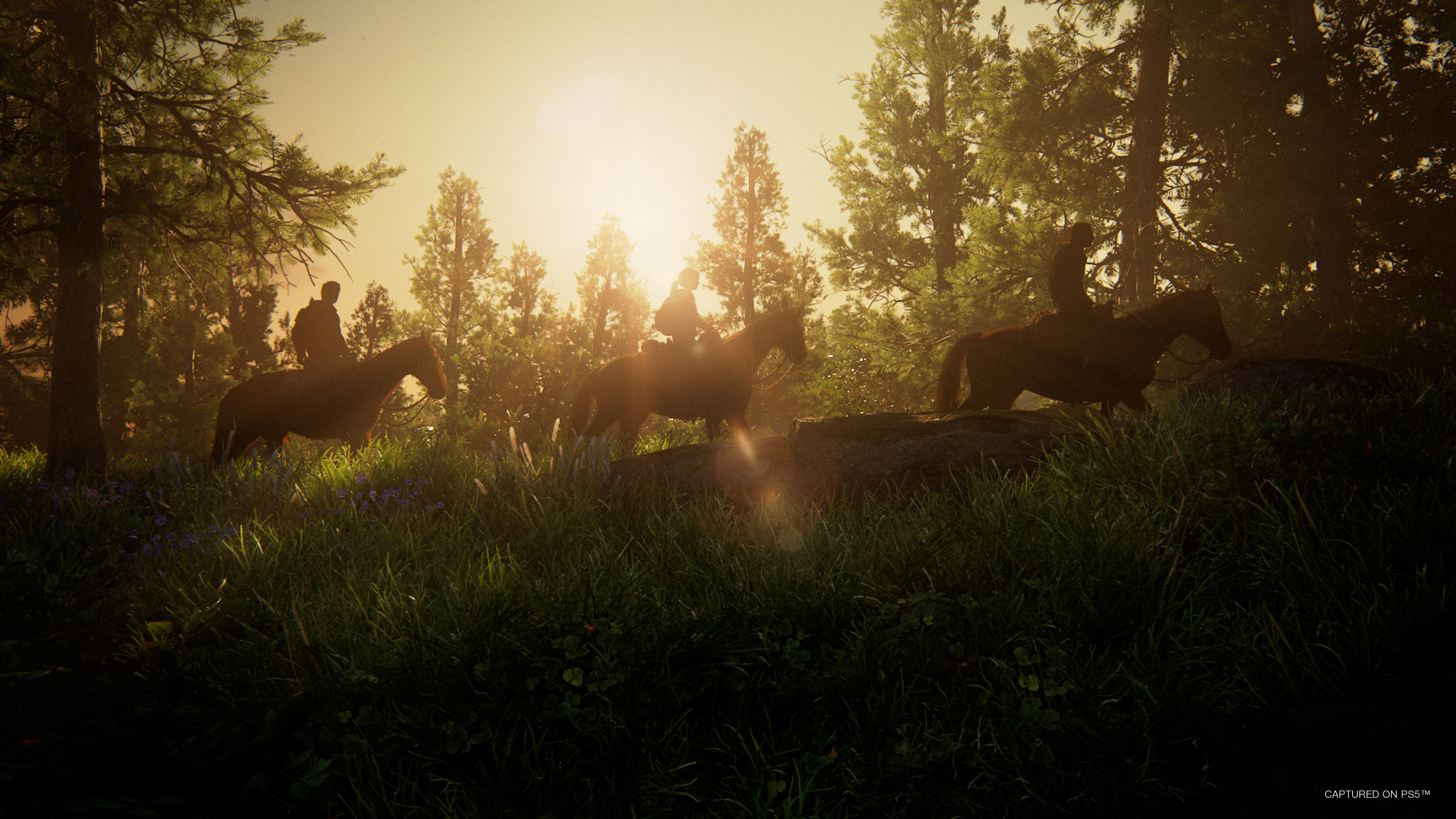 The Last of Us Parte I - PlayStation 5 4