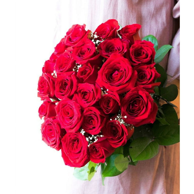 Fresh Red Rose Petals Bag buy bulk flowers- JR Roses