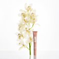 thumbnail image 3 of Bálsamo labial Blume Tri-Peptide Vanilla Superbalm 12 ml, 3 of 9