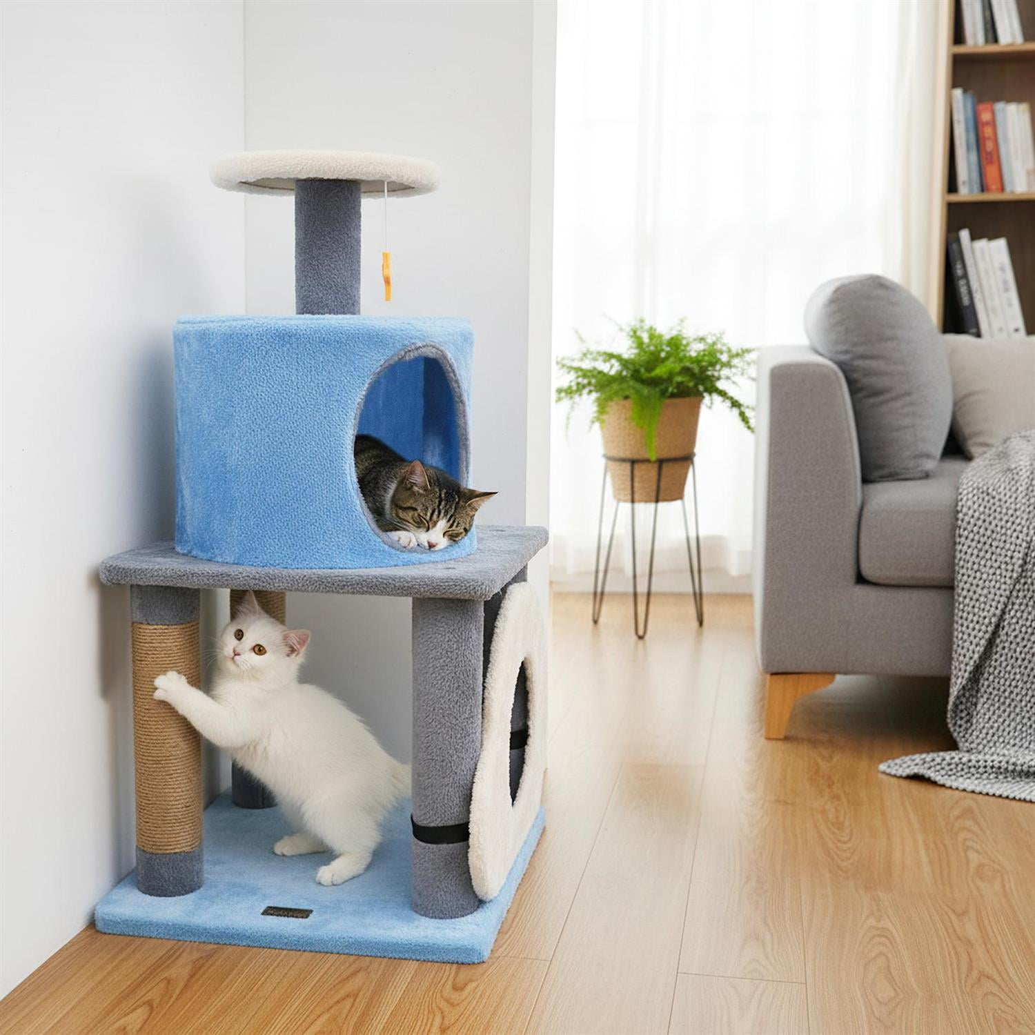 Pefilos 31.5" Cute Modern Cat Tree, Multi-Level Kitten Tower, Moon-shaped Perch & Cloud Cave, Black