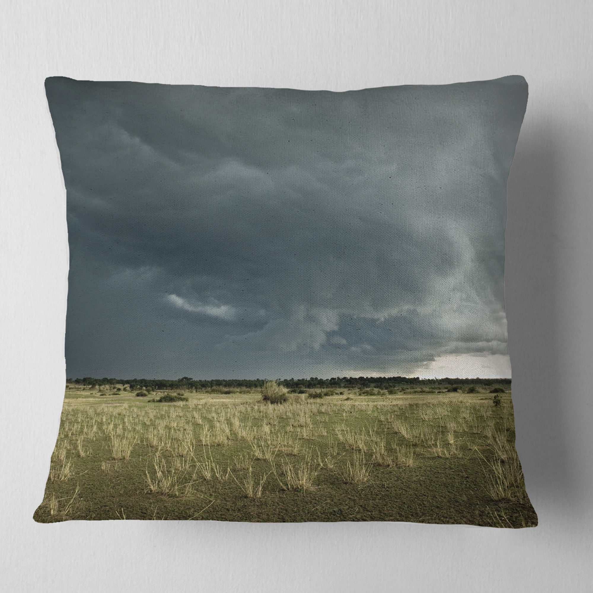 Designart Rainy Cloud over Green Pasture - Landscape Printed Throw Pillow - 16x16
