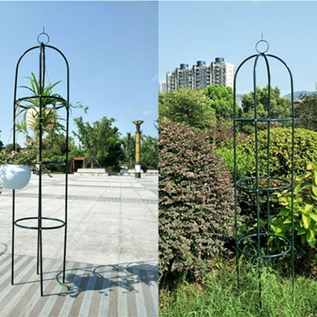 garden stands plant trellis vines climbing support flowers