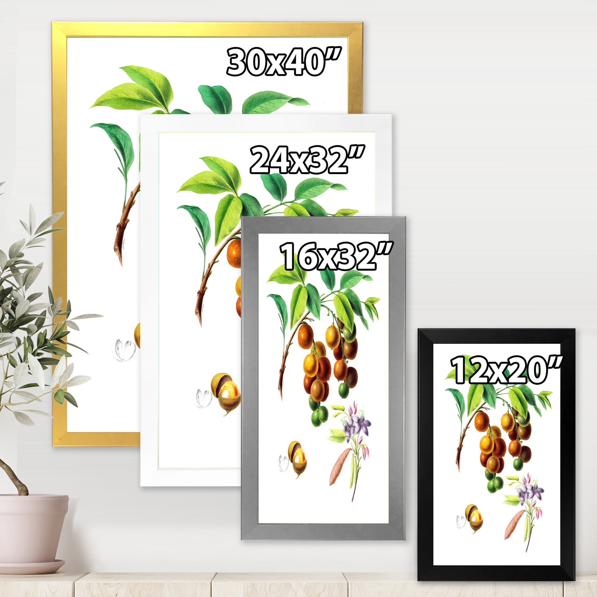 Designart 'Ancient Fruits III' Farmhouse Framed Art Print