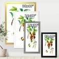 thumbnail image 4 of Designart 'Ancient Fruits III' Farmhouse Framed Art Print, 4 of 4