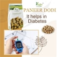 thumbnail image 4 of Yuvika Paneer Dodi - Paneer Ke Phool - Withania Coagulan, 4 of 5