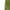 Army Green, variant on LbsKUS High Waisted Gym Yoga Skorts for Women Flowy Running Shorts Tennis Skirt Skort Active Athletic Exercise Sports Skorts Walking Casual Skorts Shorts,Green,M