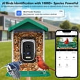 thumbnail image 2 of Comedero para pájaros Niuberber con cámara, IA de identificación de aves y energía solar, 1,6 L, 2 of 8