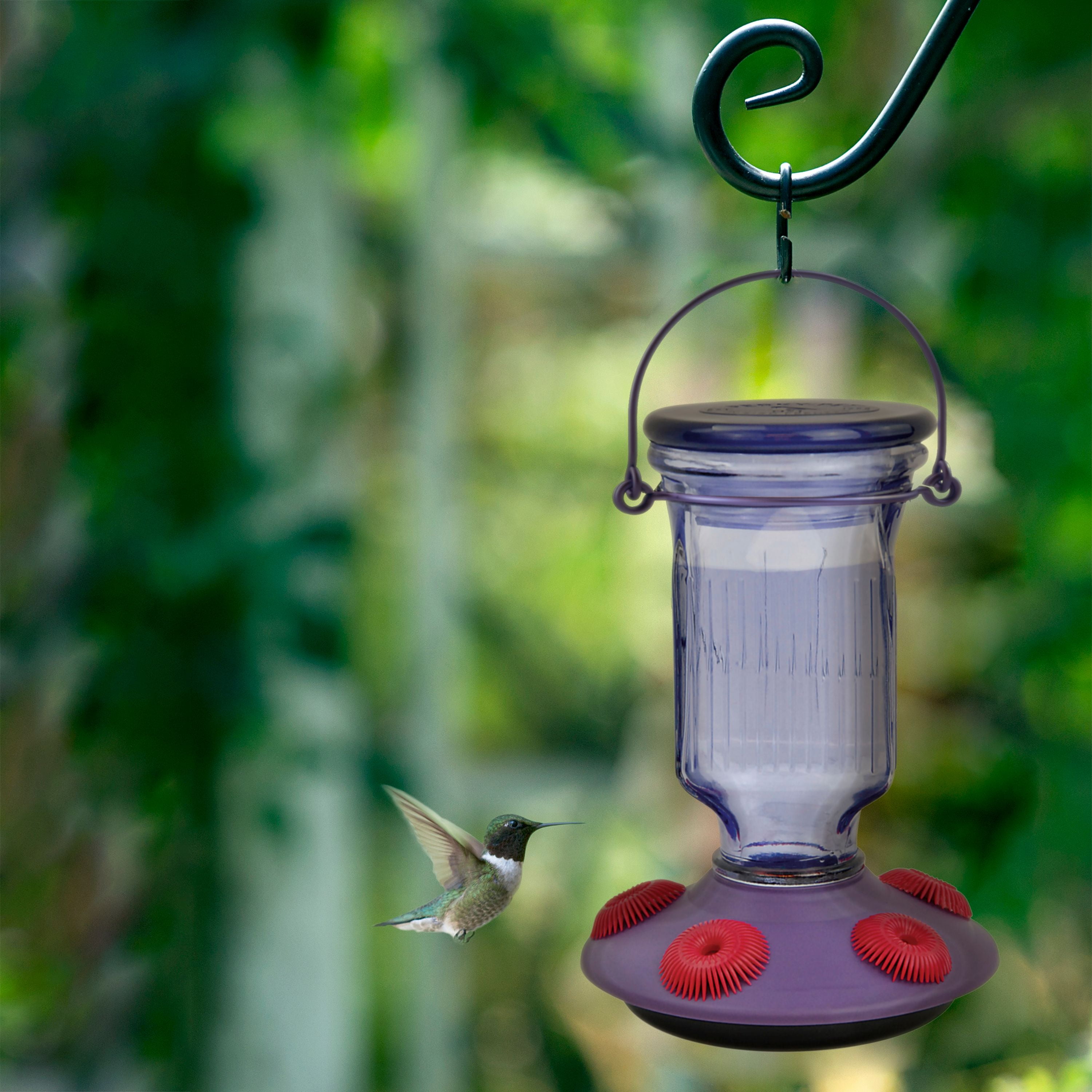 Perky-Pet Lavender Field Top-Fill Glass Hummingbird Feeder
