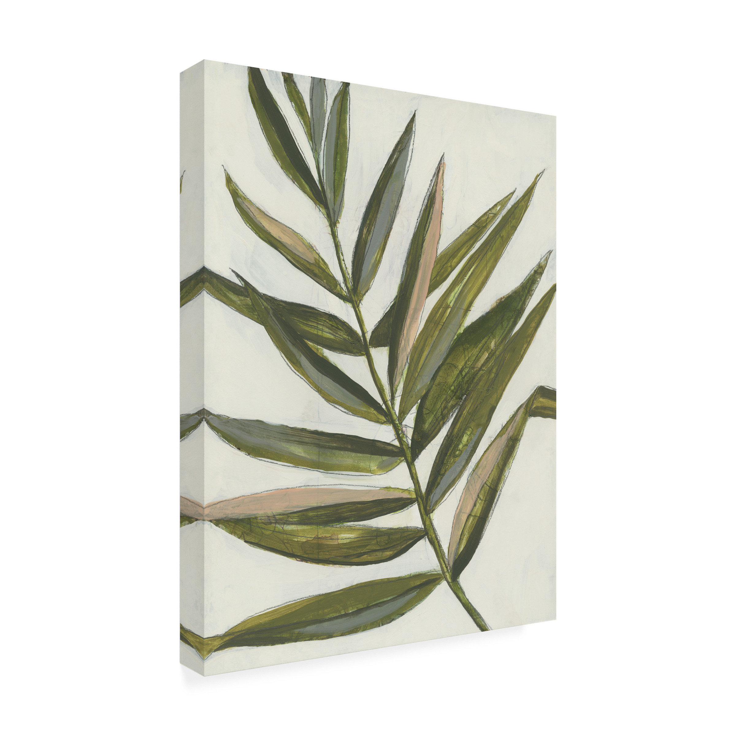 Jennifer Goldberger 'Pastel Frond II' Canvas Art