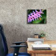 thumbnail image 5 of Epic Graffiti 'Mine' by Dana Brett Munach, Canvas Wall Art, 16"x12", 5 of 8