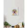 thumbnail image 2 of Poodle Rainbow Splash Wrapped Canvas  -Fab Funky Designs,, 2 of 3