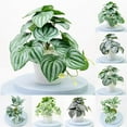 thumbnail image 4 of Artificial Plants Bonsai Simulation Pot Plants Home Decor Office Decoration, 4 of 4