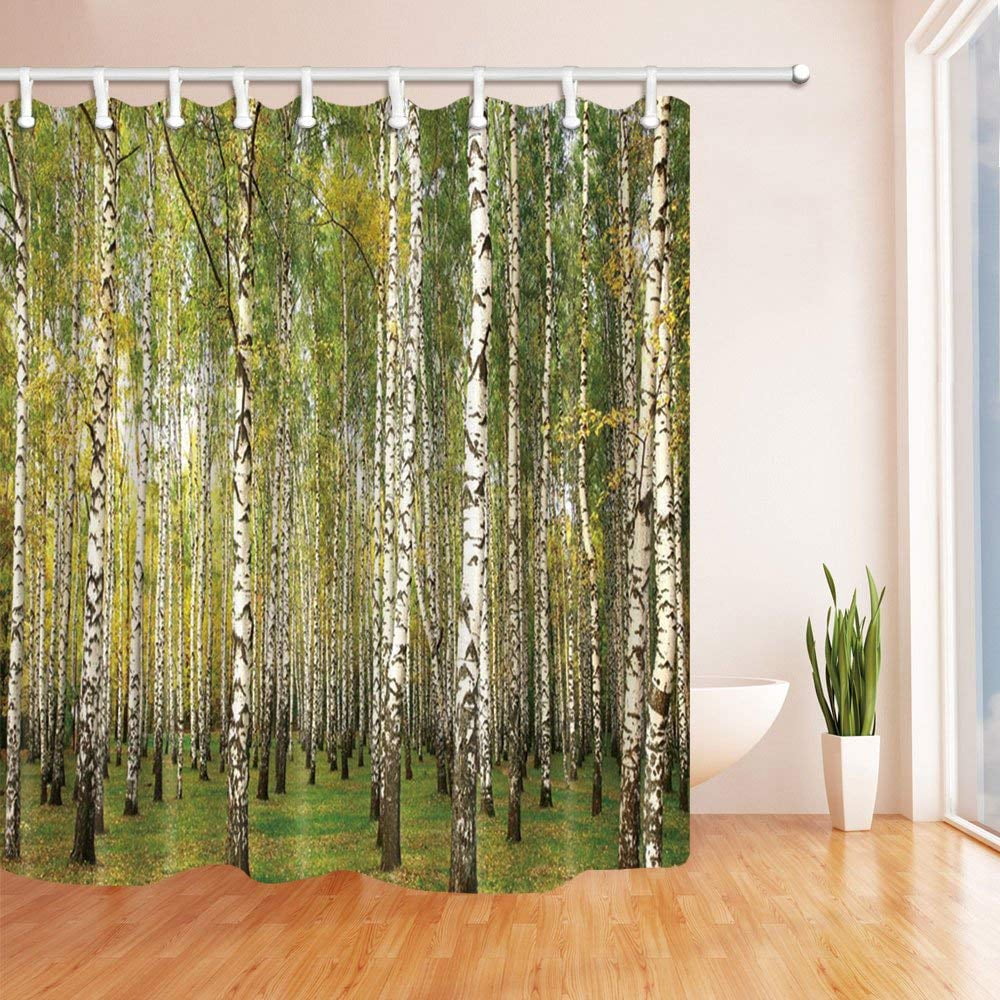 ARTJIA Woodland Decor Birch Trees in the Forest Summertime Polyester