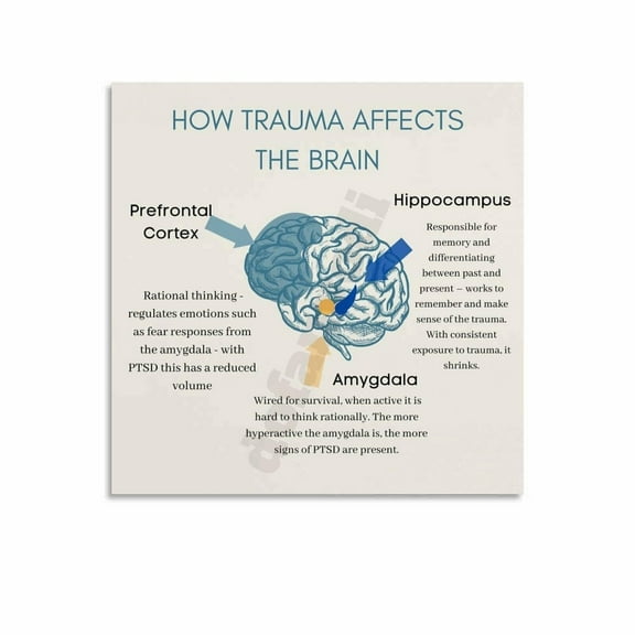 How Trauma Affects The Brain Poster Mental Health Decor (1) Canvas Painting Posters And Prints Wall Art for Living Room Bedroom Decor