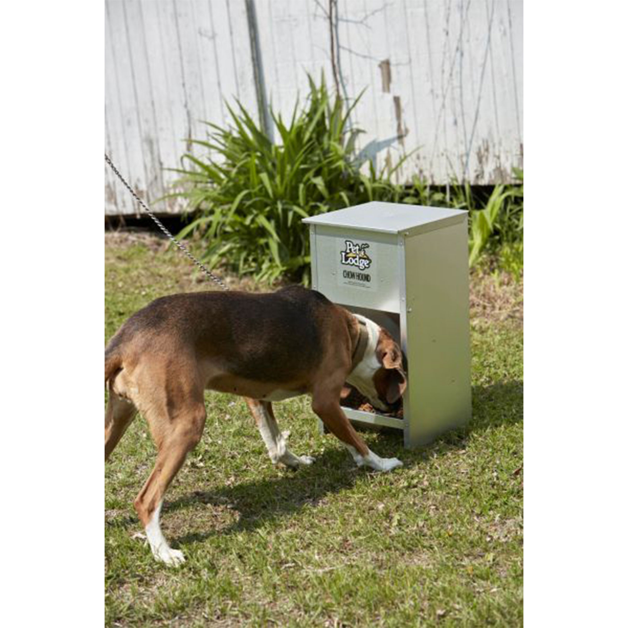 Pet Lodge Chow Hound Automatic Steel Dog Feeder photo 4