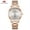 Rose Gold, variant on MINI FOCUS Fashion Women Watches Brand Luxury Casual Ladies Wristwatch Waterproof Stainless Steel Reloj Mujer Montre Femme Blue