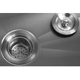 thumbnail image 3 of EZ Lift Dog Grooming Tub With Sliding Entry Door, 3 of 5