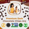 SemiSweet Real Chocolate Chips, 9 oz Gluten , Dairy , Kosher Parve