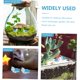 thumbnail image 3 of 10 Uds. De decoración de tortugas de plástico, accesorios para casa de muñecas, miniaturas de jardines de hadas, decoración de tortugas en miniatura, fiesta en el océano, 3 of 5