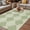 Green, variant on Sage Green Morocco Outdoor Rug for Patio/Deck/Porch, Non-Slip Large Area Rug 5 x 8 Ft, Vintage Abstract Geometric Pattern Indoor Outdoor Rugs Washable Area Rugs, Reversible Camping Rug Carpet Runner